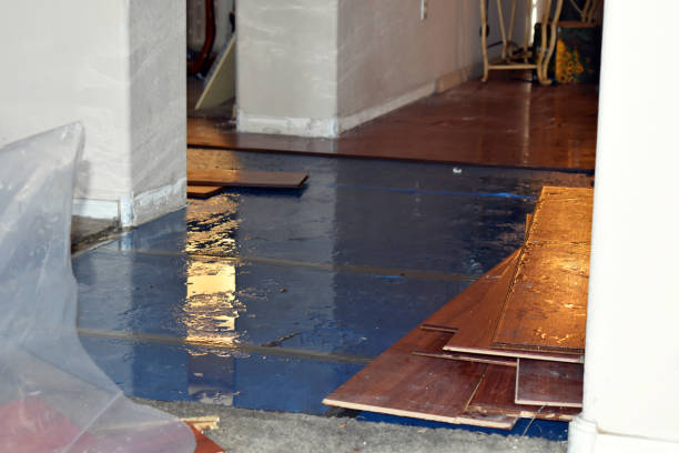 Professional Basement Flooding technician working in Myra, TX